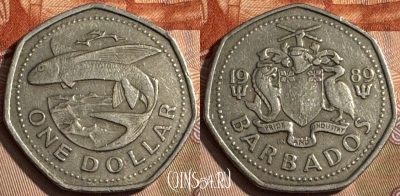 Барбадос 1 доллар 1989 года, KM# 14.2, 207s-107