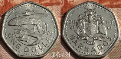 Барбадос 1 доллар 2008 года, KM# 14.2a, 139s-079