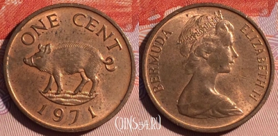 Бермудские Острова 1 цент 1971 года, KM# 15, 114d-085