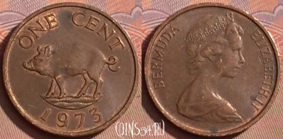 Бермудские Острова 1 цент 1973 года, KM# 15, 105l-057