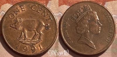 Бермудские Острова 1 цент 1991 г., KM# 44b, 496р-043