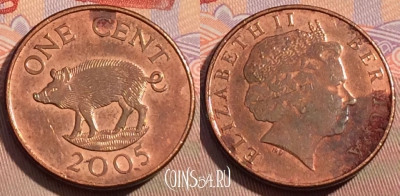 Бермудские Острова 1 цент 2005 года, KM# 107, 112c-012