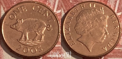 Бермудские Острова 1 цент 2005 г., KM# 107, 475r-019 ♛