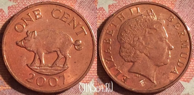 Бермудские Острова 1 цент 2007 года, KM# 107, 379-020