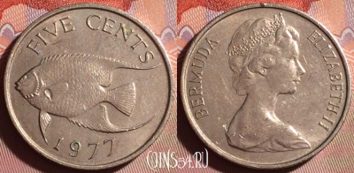 Бермудские Острова 5 центов 1977 года, KM# 16, 167g-129