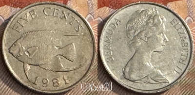 Бермудские Острова 5 центов 1981 г., KM# 16, 233t-098 ♛