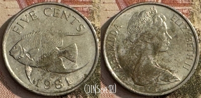 Бермудские Острова 5 центов 1981 г., KM# 16, 276t-080