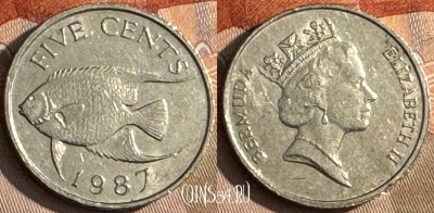 Бермудские Острова 5 центов 1987 г., KM# 45, 218t-004 ♛