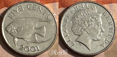 Бермудские Острова 5 центов 2001 г., KM# 108, s224t-126