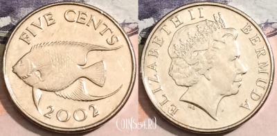 Бермудские Острова 5 центов 2002 года, KM# 108, 166-114