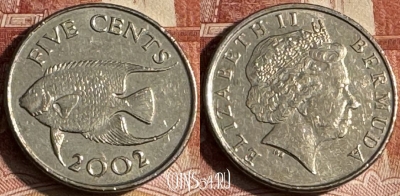 Бермудские Острова 5 центов 2002 г., KM# 108, s180t-091