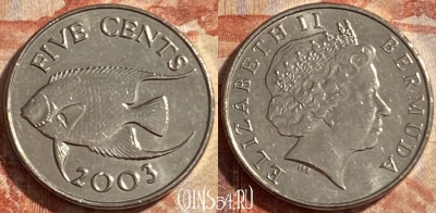 Бермудские Острова 5 центов 2003 г., KM# 108, 488р-049