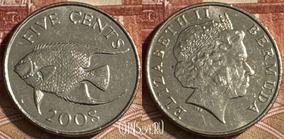 Бермудские Острова 5 центов 2008 г., KM# 108, s098t-055
