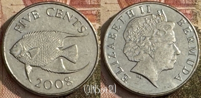 Бермудские Острова 5 центов 2008 г., KM# 108, s274t-052 ♛