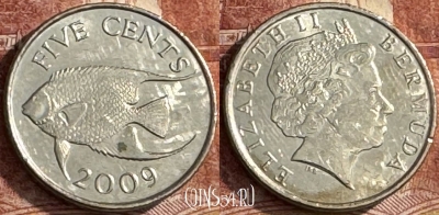 Бермудские Острова 5 центов 2009 г., KM# 108, s254t-062