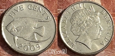 Бермудские Острова 5 центов 2009 г., KM# 108, s265t-107