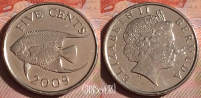 Бермудские Острова 5 центов 2009 года, KM# 108, 335-094