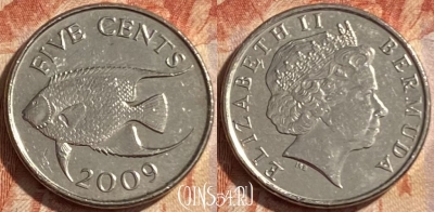 Бермудские Острова 5 центов 2009 г., KM# 108, 488р-015 ♛