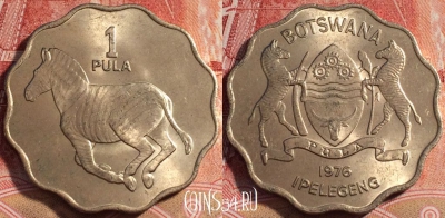 Ботсвана 1 пула 1976 года, KM# 8, aUNC, 071b-089