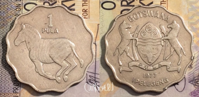 Ботсвана 1 пула 1977 года, КМ# 8, 162-062