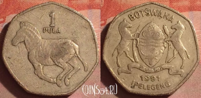 Ботсвана 1 пула 1991 года, KM# 24, 051i-125