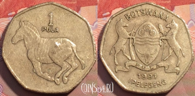 Ботсвана 1 пула 1991 года, KM# 24, 098b-098