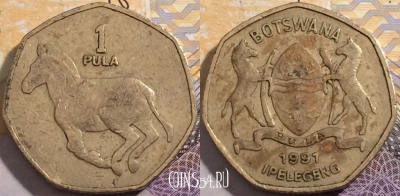 Ботсвана 1 пула 1991 года, KM# 24, 198-016