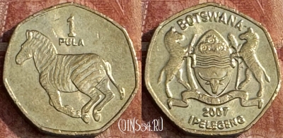 Ботсвана 1 пула 2007 года, KM# 24, s250t-065
