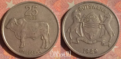 Ботсвана 25 тхебе 1989 года, КМ# 6, 181i-113