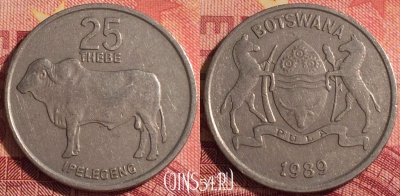 Ботсвана 25 тхебе 1989 года, КМ# 6, 301i-048