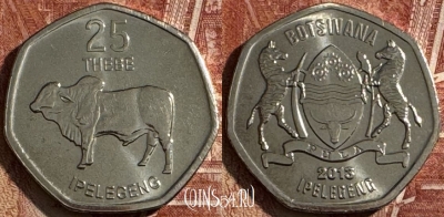 Ботсвана 25 тхебе 2013 года, КМ# 33, UNC, s505s-021
