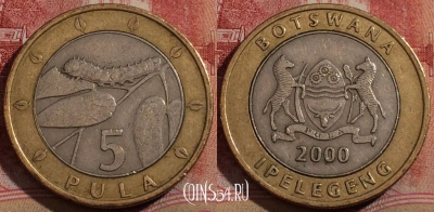 Ботсвана 5 пул 2000 года, КМ# 30, 212-111