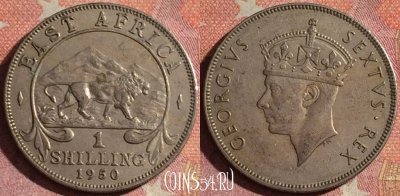 Восточная Африка 1 шиллинг 1950 года, KM# 31, 112i-060