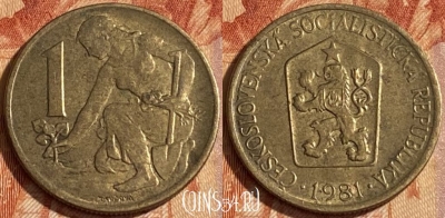 Чехословакия 1 крона 1981 года, KM# 50, 462r-271 ♛