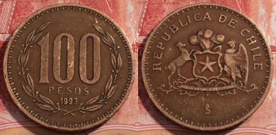 Чили 100 песо 1993 года, KM 226.2, 226-096