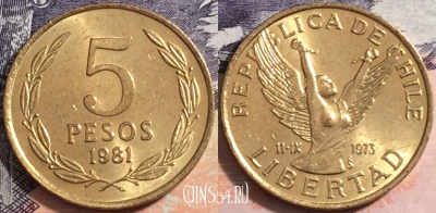 Чили 5 песо 1981 года, KM# 217, a084-066