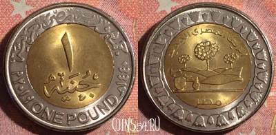 Египет 1 фунт 2019 года (٢٠١٩), 370-117