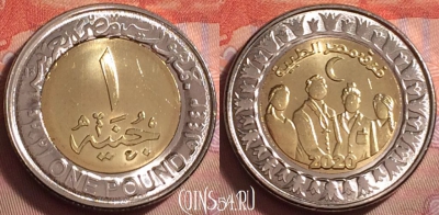 Египет 1 фунт 2021 года, Медики Египта, UNC, 087k-046