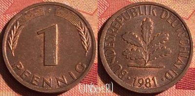 Германия 1 пфенниг 1981 года F, KM# 105, 234i-041