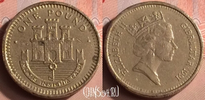 Гибралтар 1 фунт 1991 года, KM# 18, 398-045