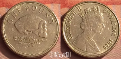 Гибралтар 1 фунт 2009 года, KM# 1091, 290o-079