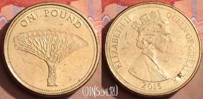 Гибралтар 1 фунт 2015 года, 081l-030