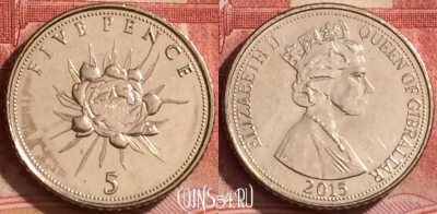 Гибралтар 5 пенсов 2015 года, 380k-073