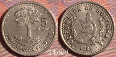 Гватемала 5 сентаво 1987 года, KM# 276, 154j-102