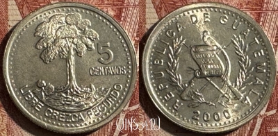 Гватемала 5 сентаво 2000 г., KM# 276, UNC, 505s-008