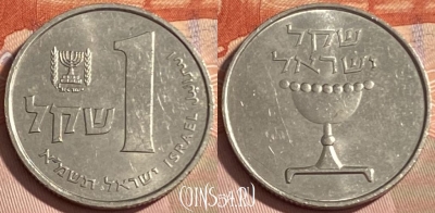 Израиль 1 шекель 1981 года, KM# 111, 479р-129