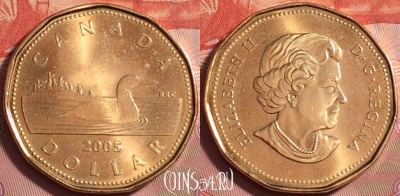Канада 1 доллар 2005 года, KM# 495, UNC, 179k-113
