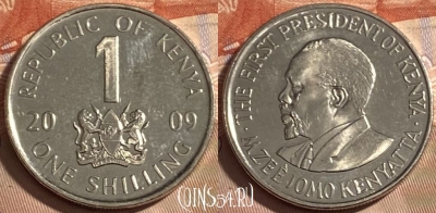 Кения 1 шиллинг 2009 года, KM# 34, 497р-083 ♛