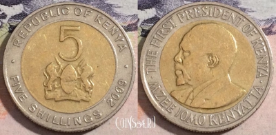Кения 5 шиллингов 2009 года, КМ# 37, 172-141