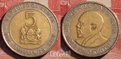 Кения 5 шиллингов 2009 года, KM# 37.1, 069c-025